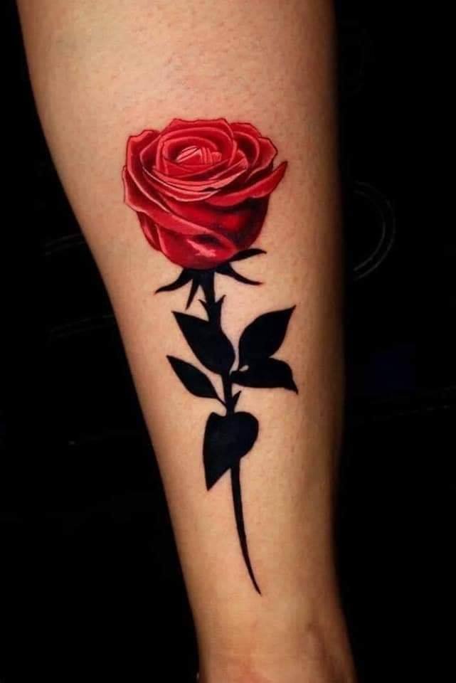 157 Tatuagem de Rosa Vermelha com Haste Completamente preta na panturrilha