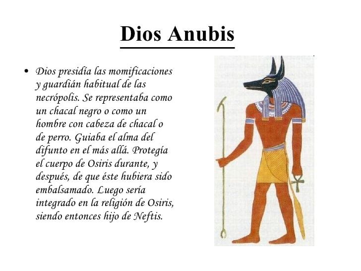 2 TOP 2 Tatuaggi di Dio Anubis Spiegazione del significato con scheda grafica