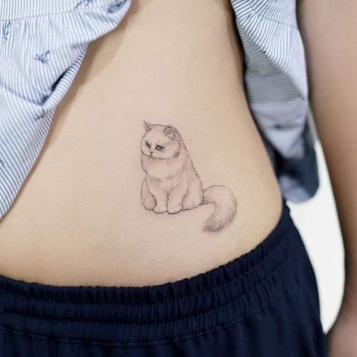 4 tatuaggi di gatto sul lato della pancia paffuta e pelosa