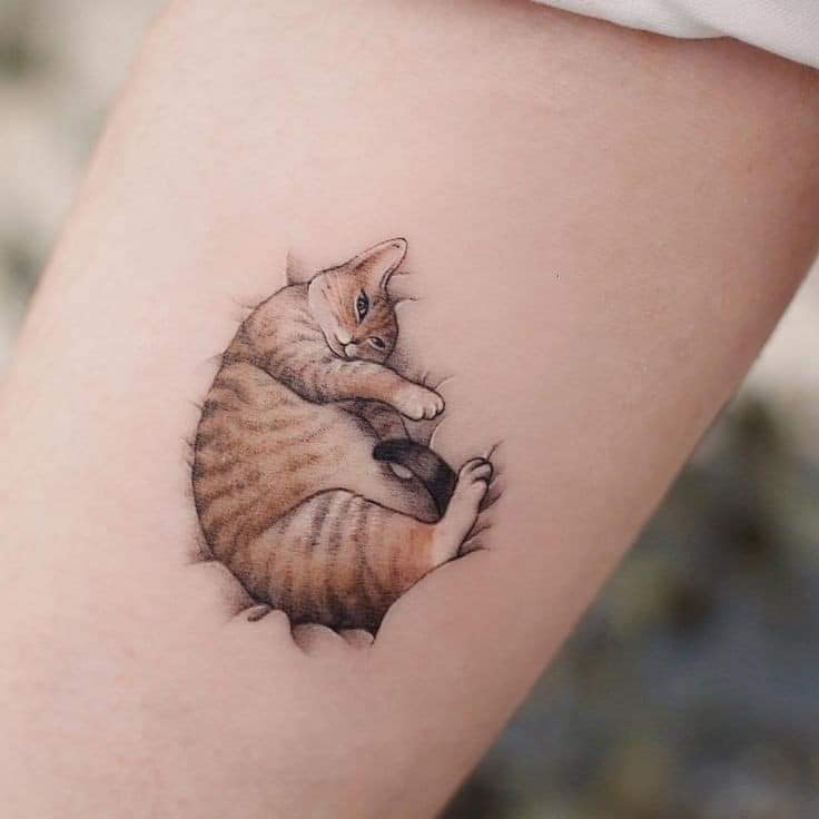 5 Tattoos of Realistic Cats Portrait cat lying down and effect of sunken tabby with orange brown stripes