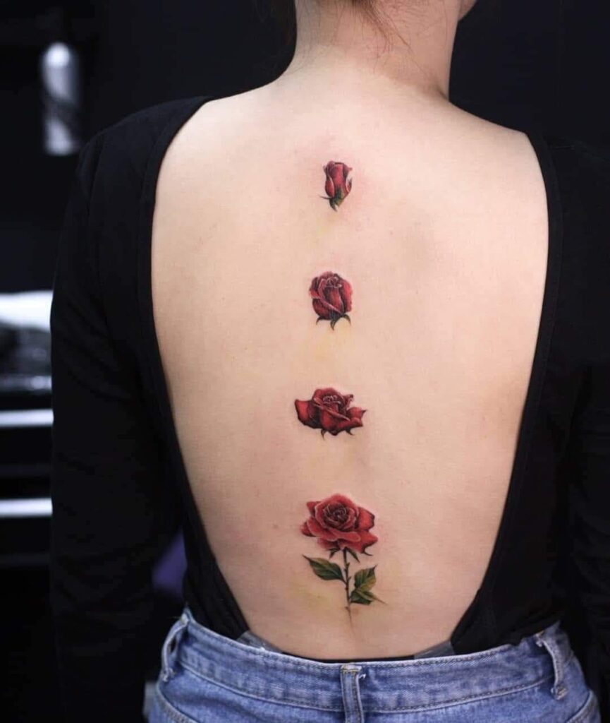 82 Red Roses Tattoo diferentes estágios de uma rosa de botão a grande rosa ao longo da espinha feminina