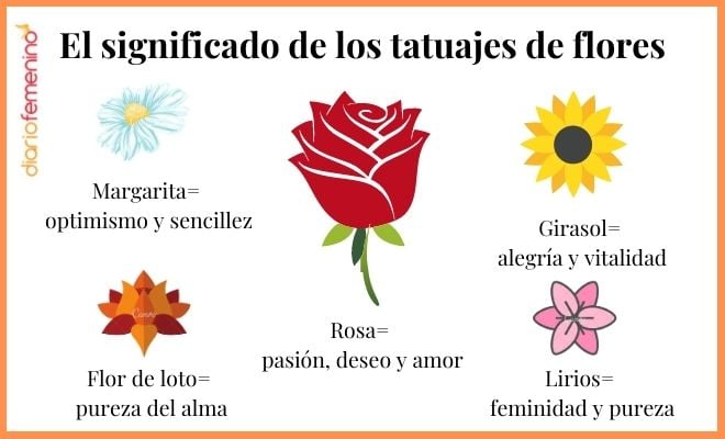 La signification des tatouages de fleurs Marguerite optimisme simplicité Rosa Pasio désir amour Fleur de lotus Pureté de l'âme