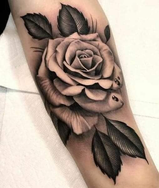 Unterarm-Tattoos: Eine weiße Rose mit 3D-Schattierung mit schwarzen Blättern