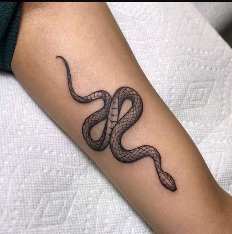 6 Tatuaje de Serpiente Negra con Escamas en Brazo
