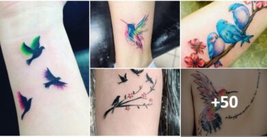 Tatuaggi collage di uccelli e colori