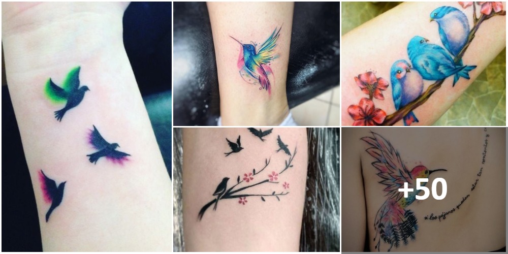 Colagem de tatuagens de pássaros e cores