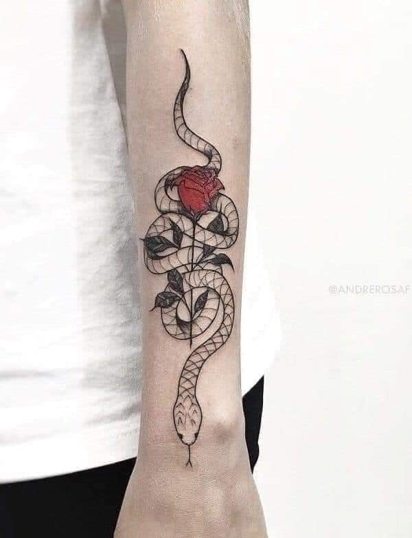 Tatuagens de cobras vivarosas mulher no antebraço com rosa vermelha