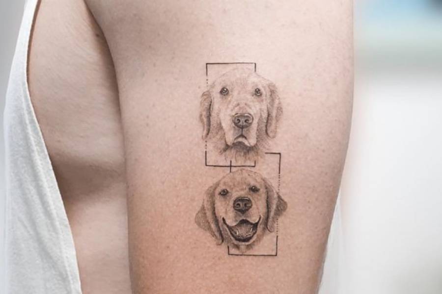 3 TOP 3 Tatuajes de perros retrato de sus dos mascotas preferidas con rectangulos atras en brazo hombre