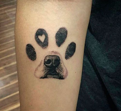 5 TOP 5 Tatuajes de perros huella de pata y hocico del perro en la musma huella ademas corazon en inverso