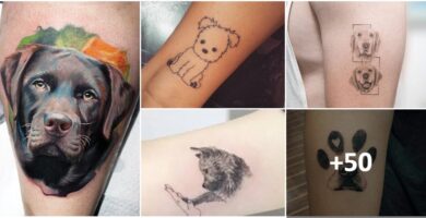 Colagem de tatuagens de cachorro