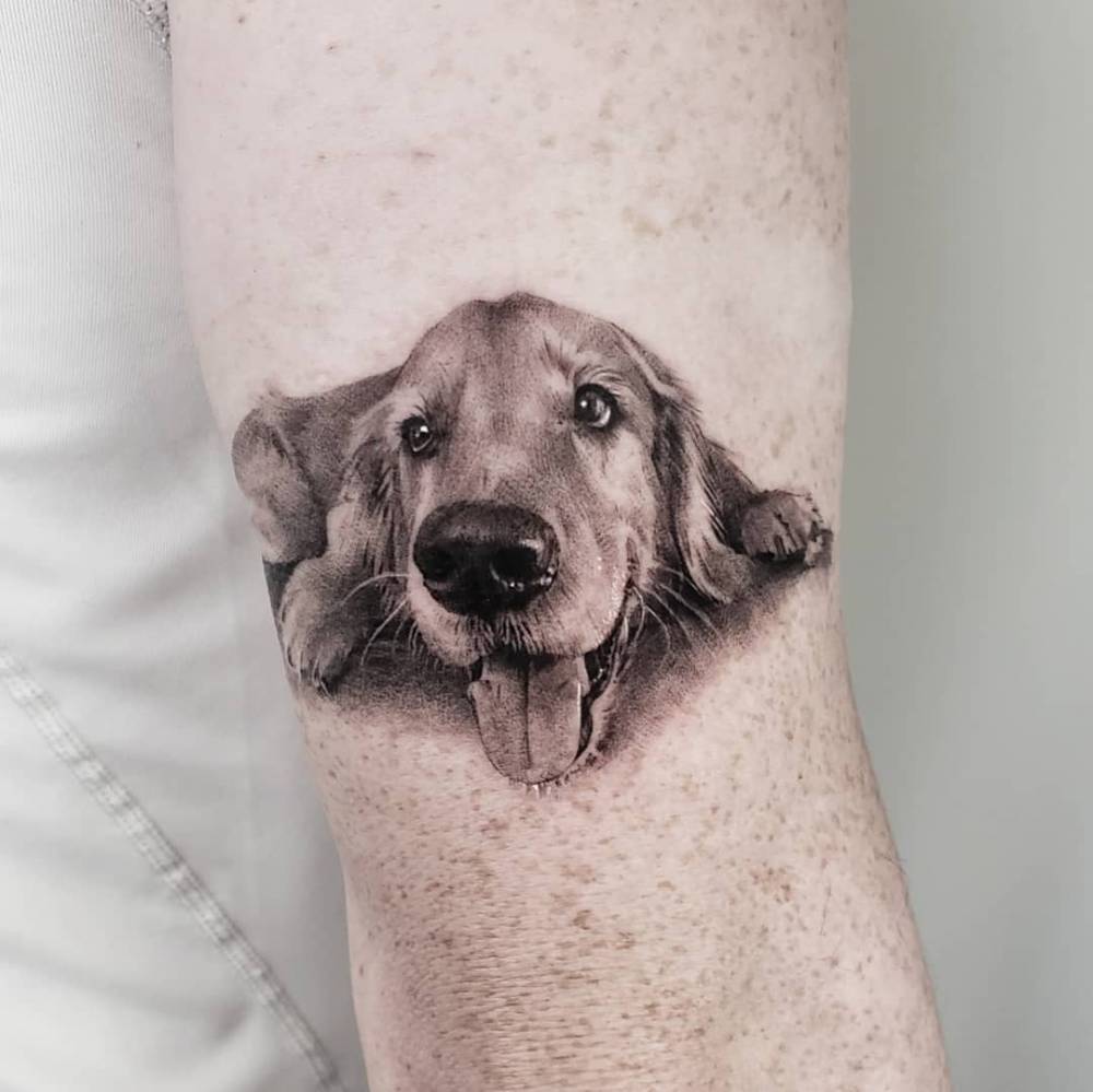 Tatuaggi per cani Ritratto di cane sdraiato con la lingua fuori