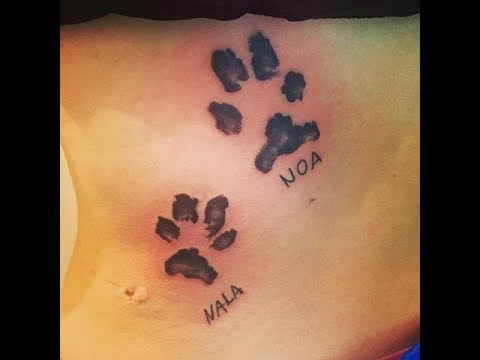 Il cane tatua due impronte di zampe di cane con i nomi Noa e Nala sulle costole