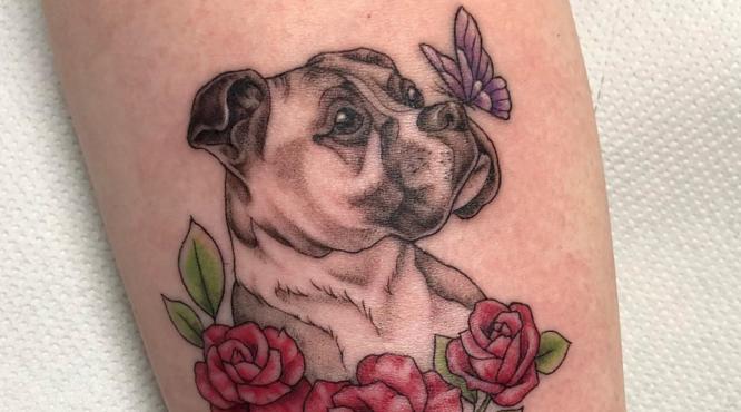 Tatuaggi di cani di razza Boxer con farfalla viola nel naso e tre fiori rossi con ritratto di foglie verdi