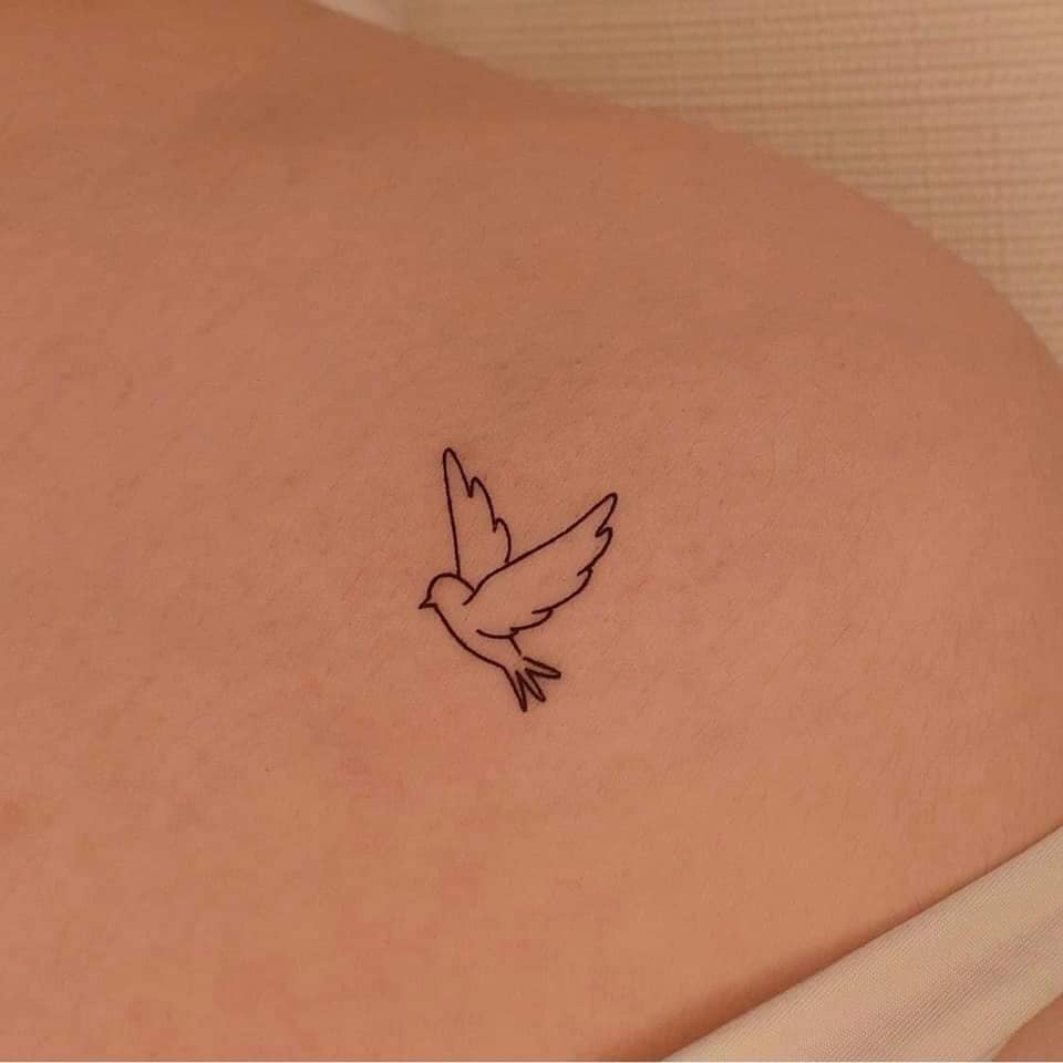 12 Small Minimalist Tattoos Dove on Clavicle