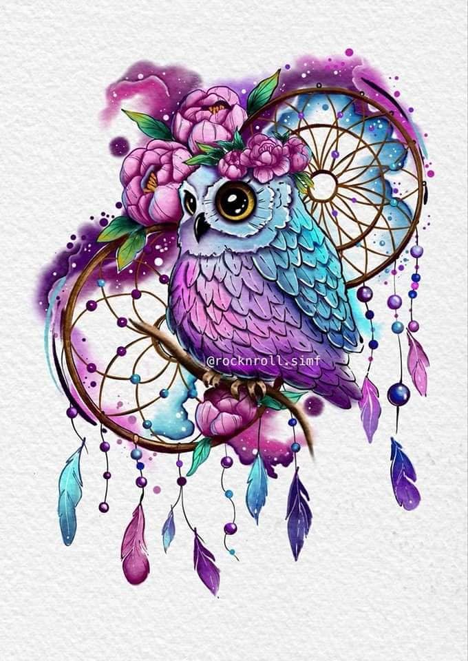 58 Dreamcatcher Tattoos Esboço em aquarela com coruja e penas coloridas flores rosa