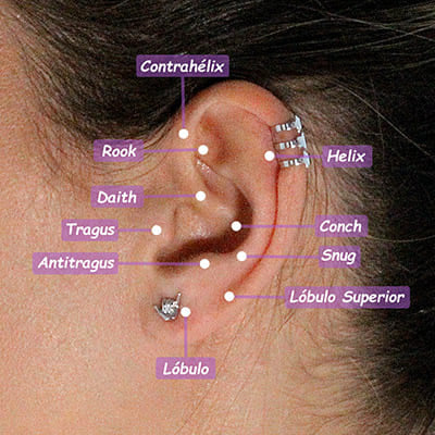 0 0 EAR PARTS FOR PIERCINGS Helix Contrahelix Rook Daith Tragus Antitragus Labulo Conch Snug Upper Lobe