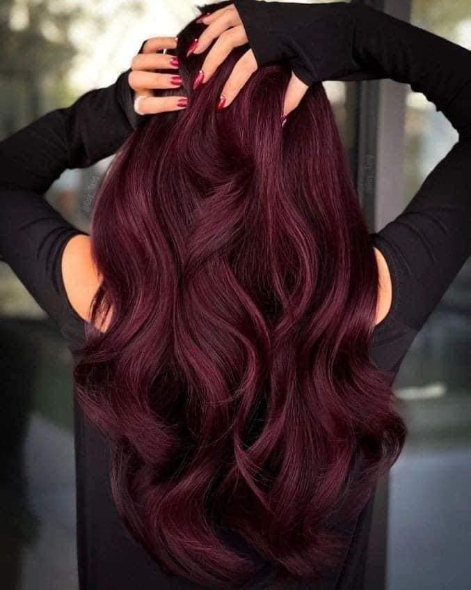 160 Burgundy Red Tint With loops