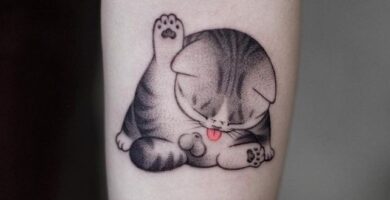 1 TOP 1 Tatuajes de Gatitos Cachorros lamiendose 160