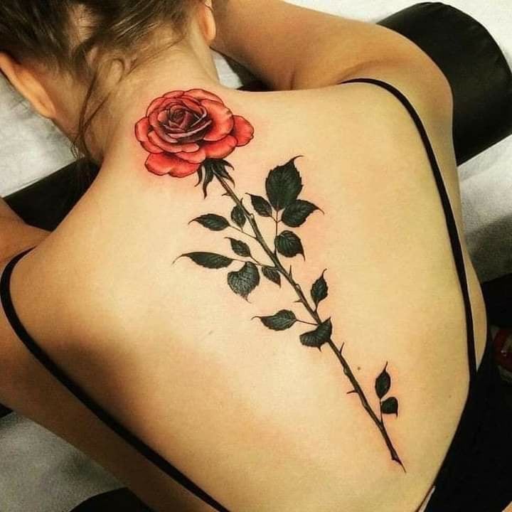 108 Tatuajes de Rosas en la Espalda Rosa Roja casi en la base del cuello y tallo con muchas hojas verde obscuro en la columna