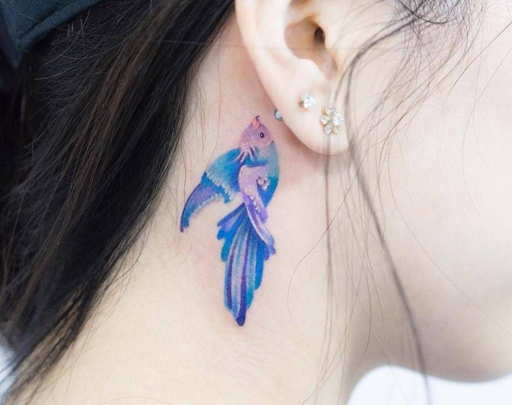 21 Tattoos hinter dem Ohr. Blauer und violetter Vogel mit erhobenem Schnabel und Kopf