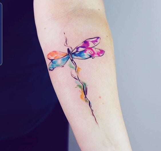 Tatuagens de libélulas aquarela com asas de cores diferentes