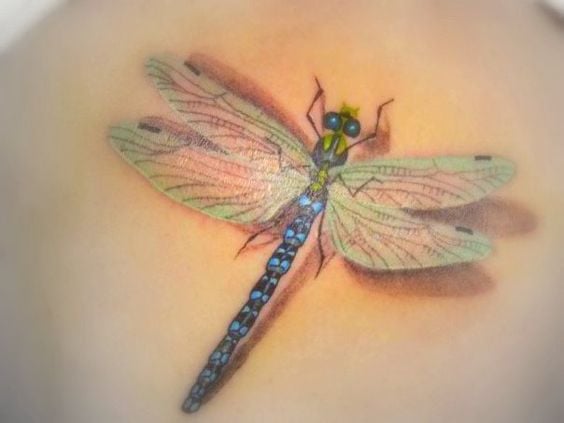 Tatuaggi libellula con delicato disegno 3D nei toni pastello e azzurro