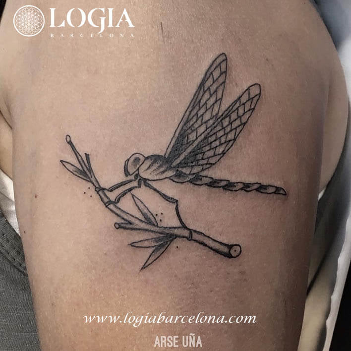 Dragonfly tattoos in black outline viewed from the side sitting on a branch on the arm