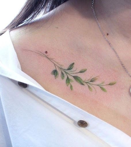 27 Delicate Green Twig Tattoos on clavicle