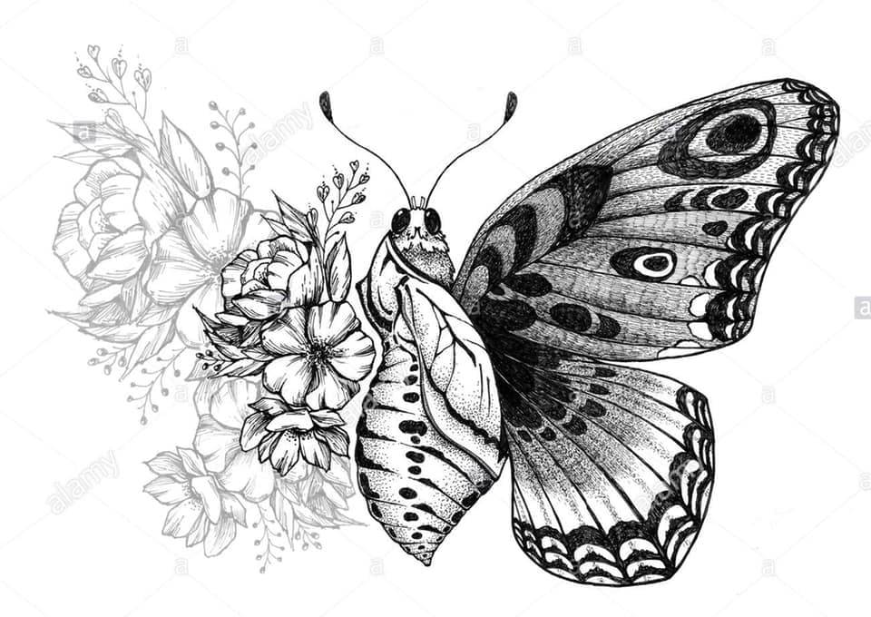 26 Schmetterlings-Tattoos, halber Raupe, halber Schmetterling auf Raupenteil, schwarze Blumen, Skizzenvorlage