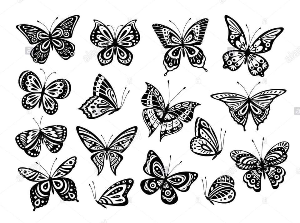 32 Schmetterlings-Tattoos, Set mit 16 Designs verschiedener Arten, Skizzenvorlagen