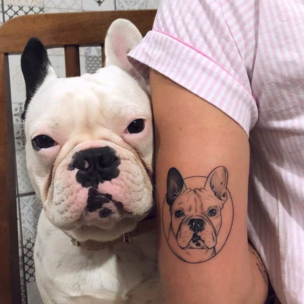 5 TOP 5 Realistisches Hundegesicht-Tattoo auf dem Arm der Künstlerin Andressa Mayara Santa Catarina Brasilien