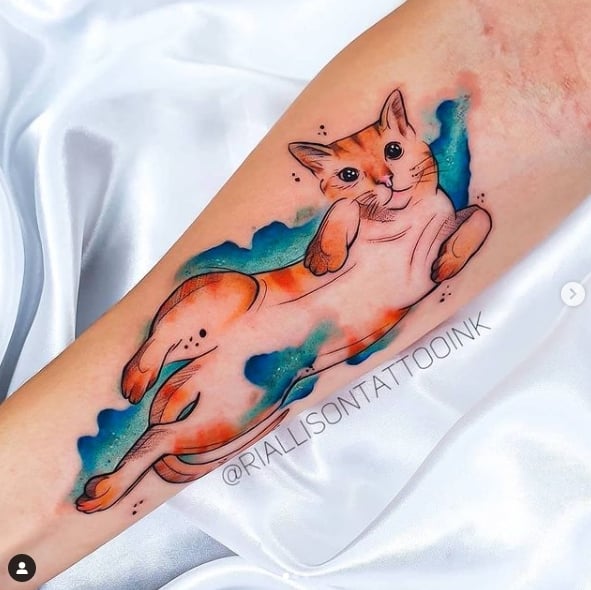 4 TOP 4 Orangefarbene Katze mit erhobenem Bauch und hellblauem Aquarell auf dem Unterarm. Realistischer Tätowierer von Riallison Silva