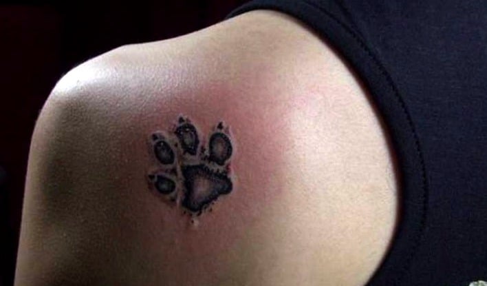 Tatuaggi con zampa di cane di piccola taglia per uomo sulla scapola posteriore