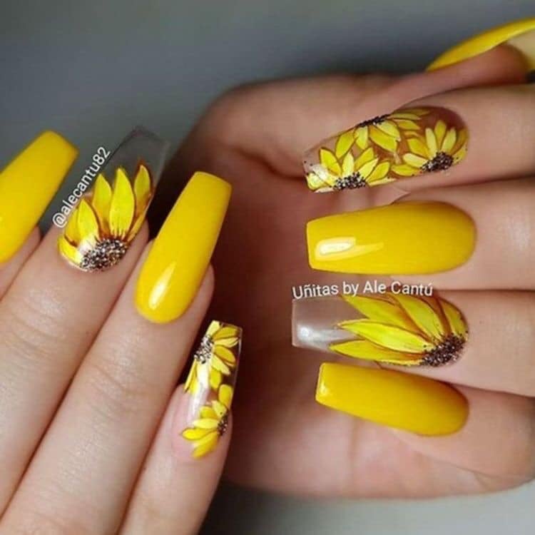 26 Teils Gelb mit Sonnenblumen, teils transparent