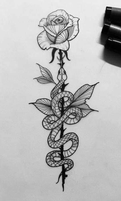167 Skizzen-Ideen-Vorlagen Schwarze Rose mit einer Schlange, die auf dem Stiel und den Blättern gewickelt ist