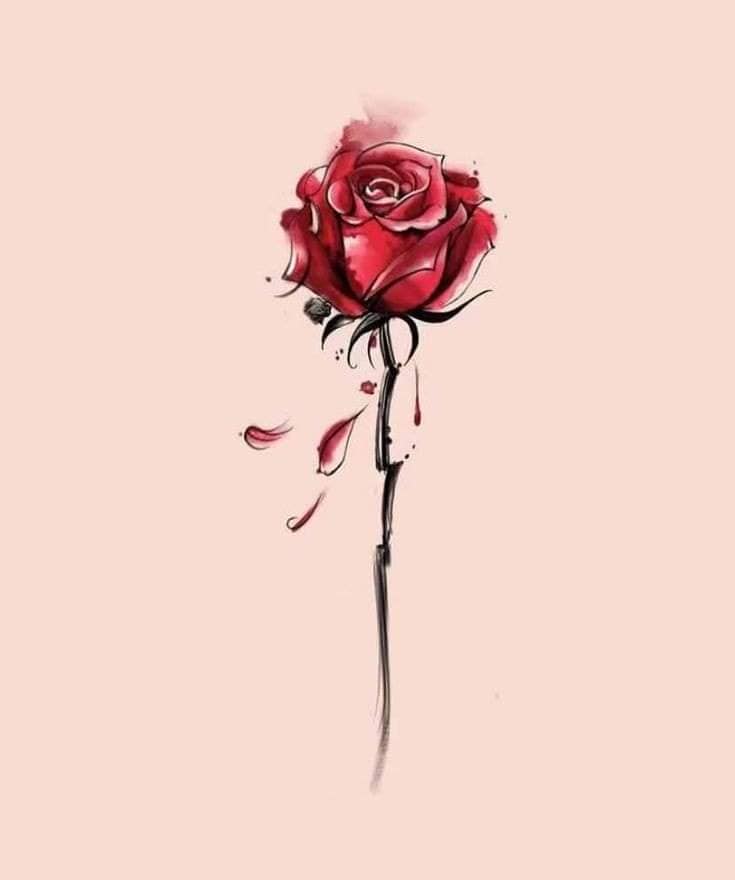23 Skizzen Tattoo-Vorlagen von roten Rosen mit Blütenblättern und schwarzem Stiel