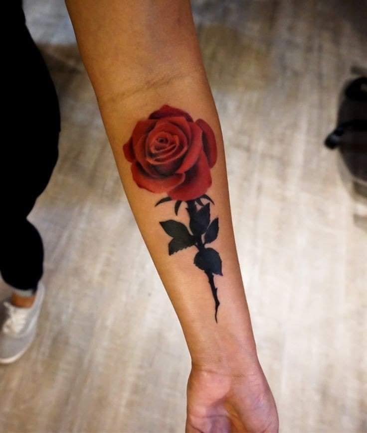 41 Skizzen Tattoo-Schablonen von Rosen auf dem Unterarm rot mit realistischem großen schwarzen Stiel