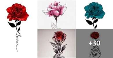 Collage Plantillas Bocetos de Rosas