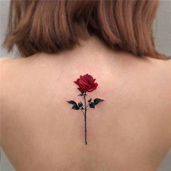 422 Tatoo en la espalda pequeña flor roja con tallo con hojas 422 Tatoo en la espalda pequeña flor roja con tallo con hojas