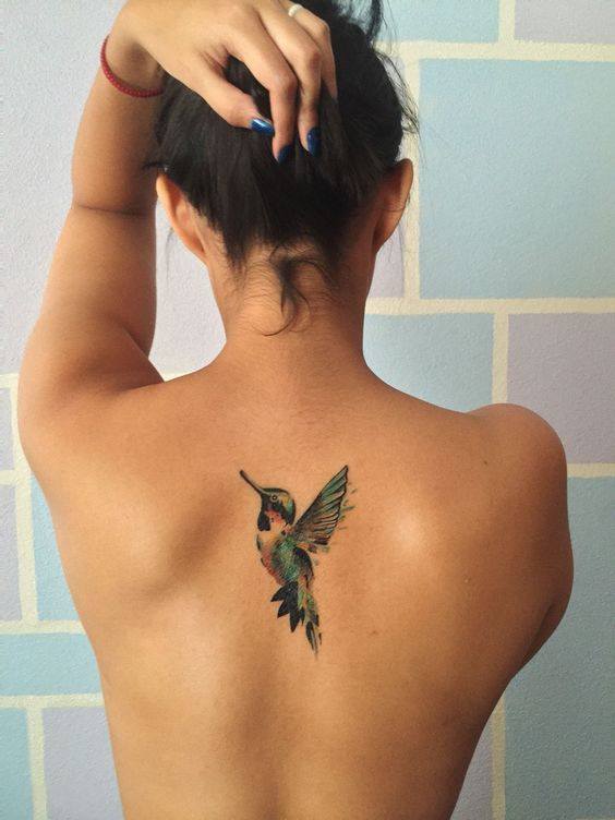 622 Tatoo en la espalda acuarela colibri 622 Tatoo en la espalda acuarela colibri