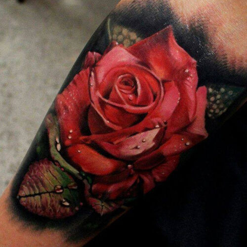 Significado da tatuagem de rosa vermelha