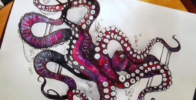 Pulpo: macho – hembra, ideas interesantes, significado