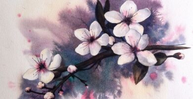 Sakura: hombre – mujer, ideas interesantes, significado