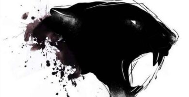 Panther: ideas geniales para hombres y mujeres