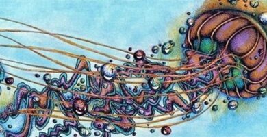 Medusa: ideas para chicos y chicas