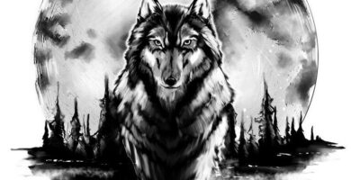 Tatuaje de lobo: bocetos para hombres – mujeres, dibujos únicos, significados