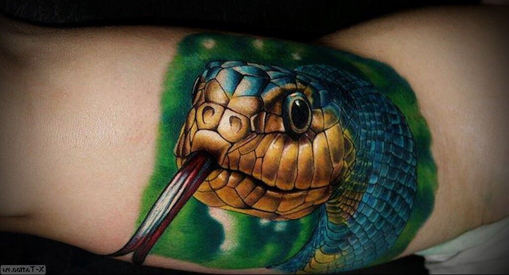 Tatuaje de serpiente: significado para niñas y hombres en el brazo, la pierna y otros lugares