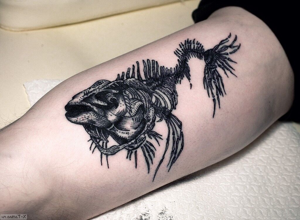esqueleto de peixe