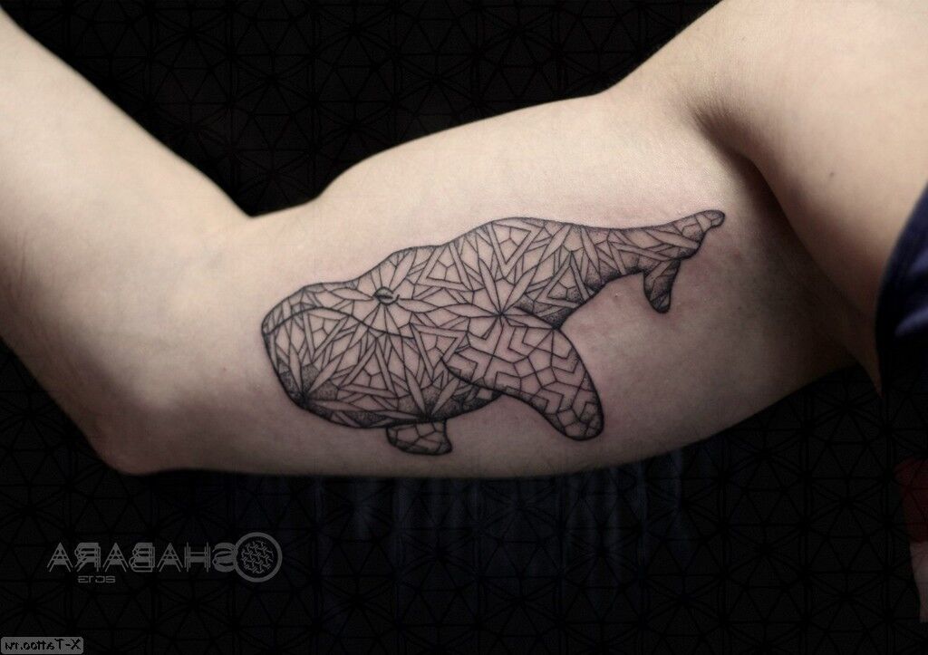 sperm whale on the biceps