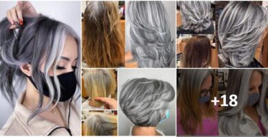 Collage Cobri your gray hair with Silver or ash color